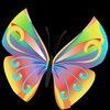 butterflystand